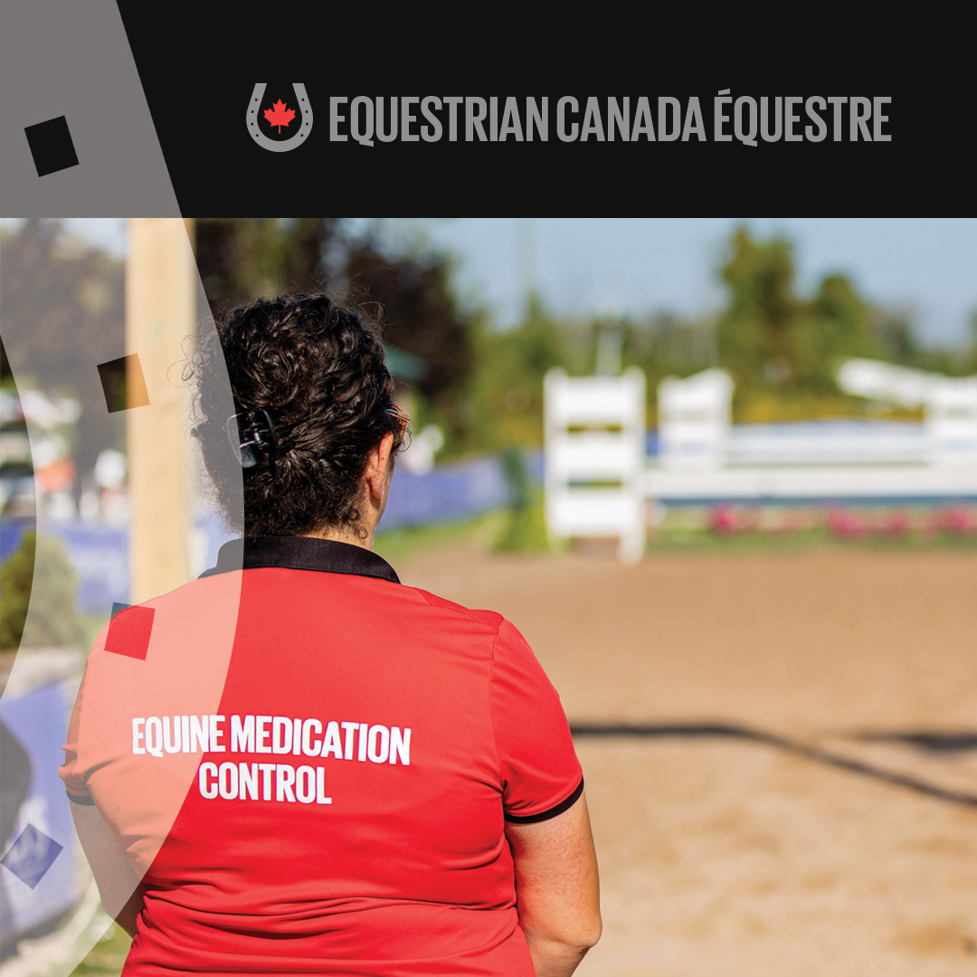 Introduction au contrôle des médicaments équins